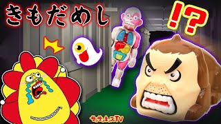 【都市伝説】夜の学校できもだめし！？人面研や人体模型から逃げろ！おばけ・放課後の怪談・子供向け知育教育★サンサンキッズTV★