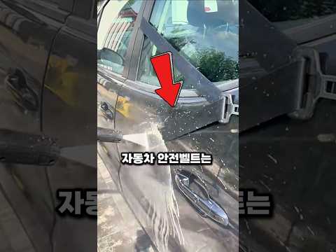 안전벨트를 세척하는 법