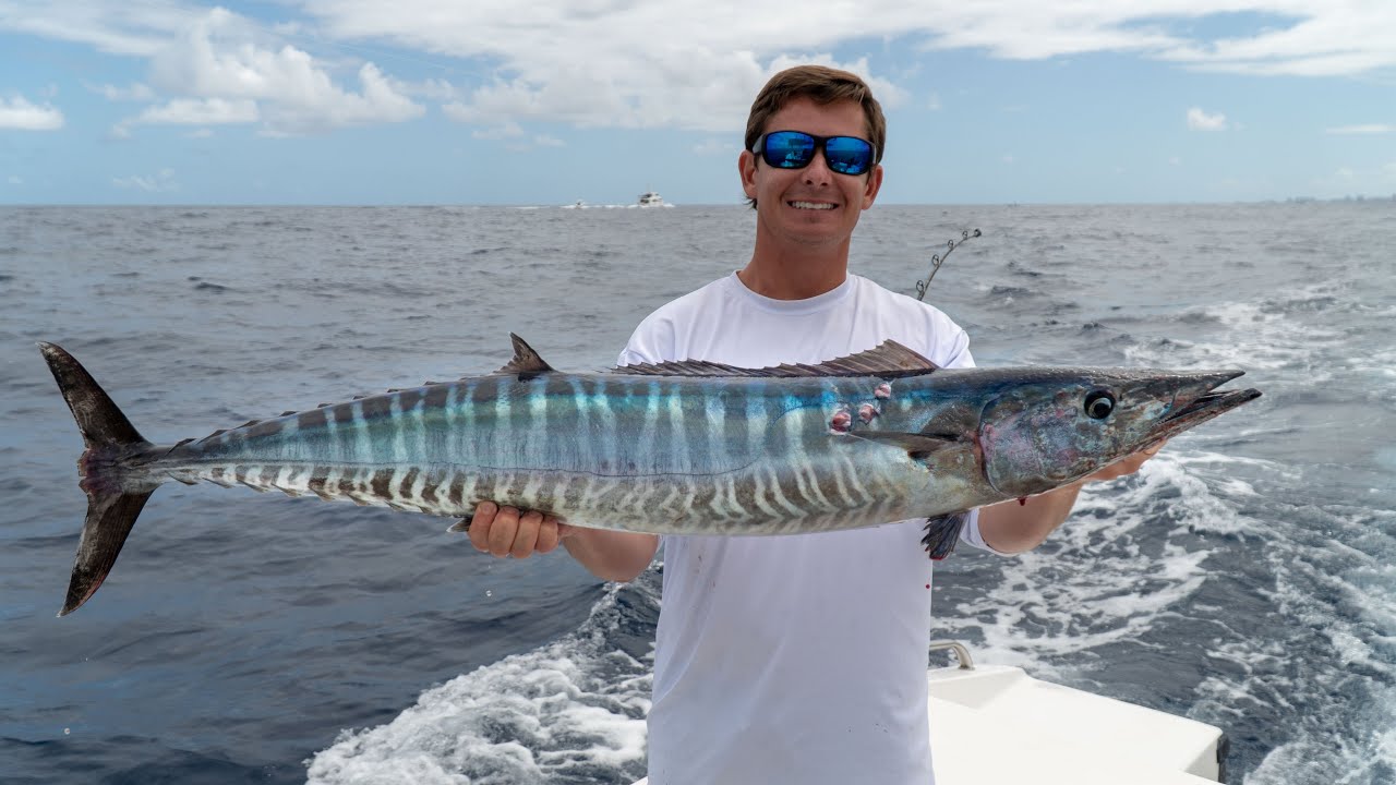 Trolling for DEEP Sea Wahoo- Catch Clean Cook! (Planer Fishing Florida)