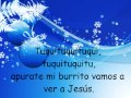 Preguntas sobre el burrito sabanero