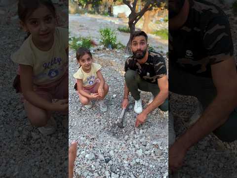 عم بزرع بيضه ولكن|#بودي|#ماشا