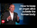 Organ Transplantation and Machine Perfusion