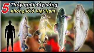 5 loài THỦY QUÁI đáy sông tại Việt Nam mà bạn chưa biết tới?
