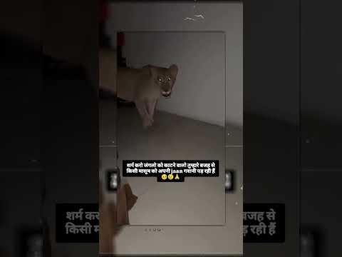 शर्म करो जंगल को काटने बालो तुम्हारे वजह से किसी मासूम को अपनी जान गवानी padri है 🥺💔 #help #sad