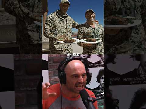 Joe Rogan talks about daily diet for energy