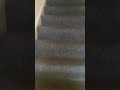 3 bedroom student apartment in Fenham, Newcastle