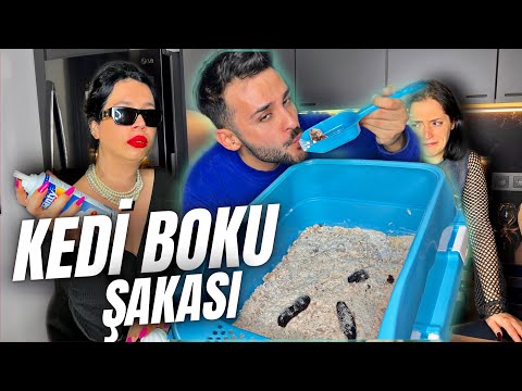 ABLAMA KEDİ BOKU YEME ŞAKASI YAPTIK! (KEDİ TUVALETİ PASTASI)