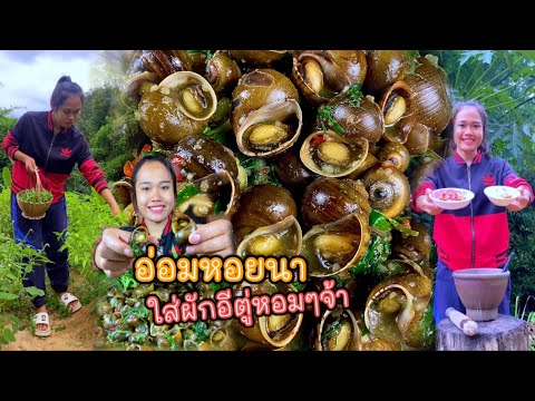 อ่อมหอยโข่งนา ใส่ผักอีตู่ หวานๆกรุบๆ ซดน้ำนัวๆแซ่บหลายจ้า