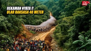 Heboh‼️ Video Viral Ular Raksasa Sepanjang 40 Meter Gegerkan Media Sosial, Benarkah Ini Ular Nabau?