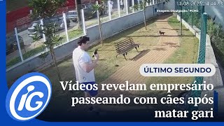 Vídeos revelam empresário passeando com cães após matar gari