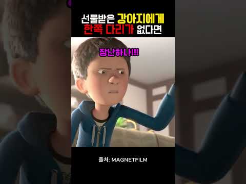 선물받은 강아지에게 한쪽 다리가 없다면