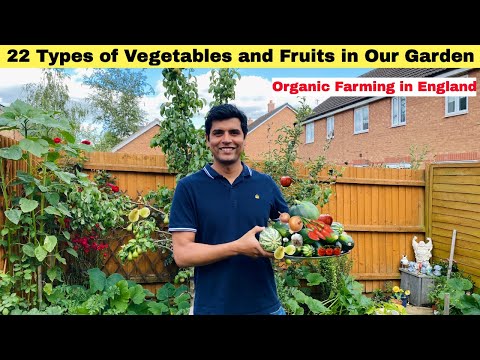 22 Types of Vegetables and Fruits In our Garden| Vegetable Garden Tour in England| Sangwans Studio