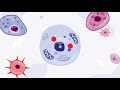 Gene Therapy and Viral Vectors
