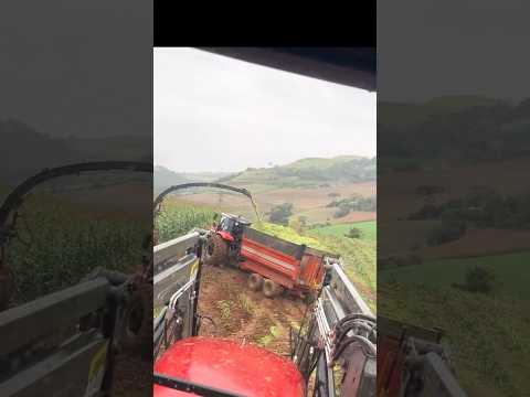 SILAGE TRAILER SLIDES TRACTOR DOWN MOUNTAIN