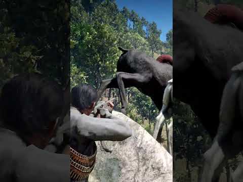 Great Survival Skills vid572