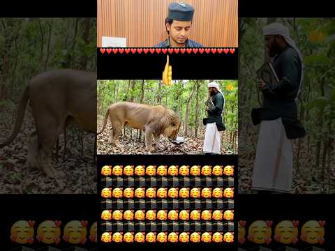शेर 🦁 ने क़ुरान शरीफ को सजदा किया #short #shorts