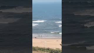 Emergency Services Respond to Plane Crash Near Durban Beach