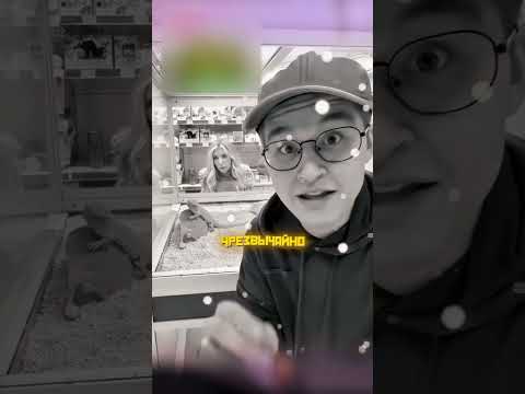 Неожиданная концовка! Опасное животное