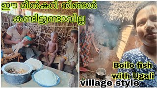 UGALI with BOILO fish in an African village|Easy fish receipie|Village style trending fish curry🇰🇪