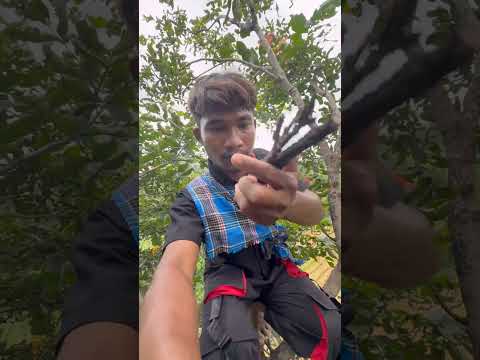 Sanp aa gya😱 #minivlog#viral#trending#village#shorts#reels#river#waterfall#hills#enjoy