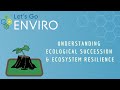 Ecological Succession and Ecosystem Resilience Insights