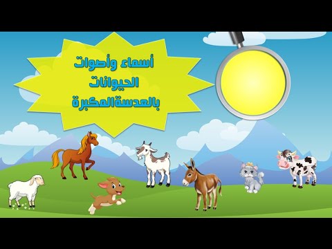 أصوات الحيوانات للأطفال بالعدسة المكبرة  الجزء الثاني Animal Sounds and Names for Kids  - Part 2