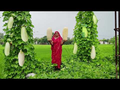 बरसात के मौसम में बनाए हांडी में ककरी की दाल और चावल || Cucumber dal recipe