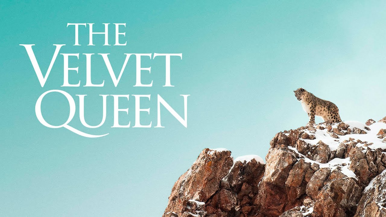 The Velvet Queen Trailer thumbnail