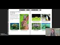 Energy Sources and Ecosystem Roles