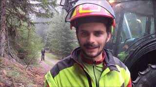 Vom Baum zum Hackgut / Dal tronco al cippato