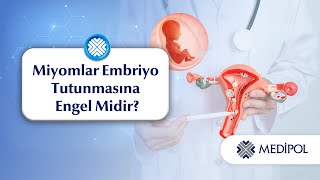 Miyomlar Embriyo Tutunmasına Engel midir?