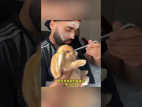 女友出差将兔子交给男友照顾，小兔子不听话直到他想出了这一招。