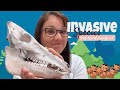 Impact of Feral Hogs and Invasive Species