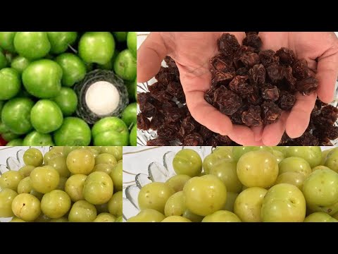 🔴"ALÇANI belə qurudun – 100% alınır!"🔴EVDƏ"Qara turşu,Giləturşu"-nun  hazırlanma qaydası.