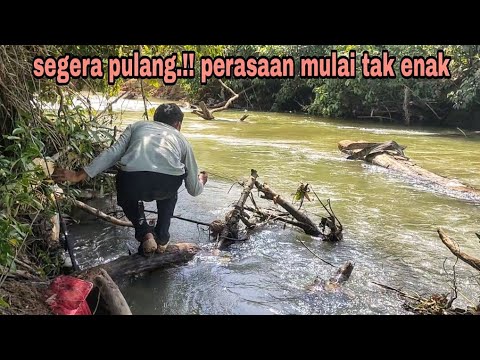 BIKIN PANIK‼️segera pulang, perasaan mulai tak enak saat dalam hutan