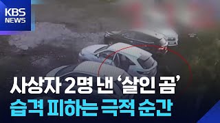 사상자 2명 낸 ‘살인 곰’…습격 피하는 극적 순간 [잇슈 SNS] / KBS  2025.09.26.
