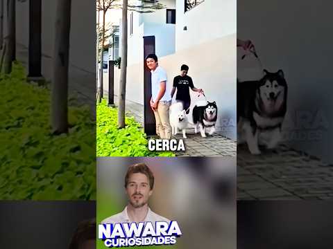 Después de 7 meses, y nunca lo olvidaron!