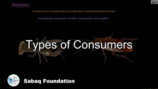 Types of Consumers