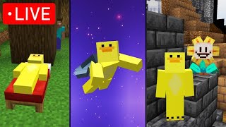 Playing THE BEST Minecraft Maps