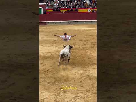 Salto de angel “Marco Espi” castellon 2024