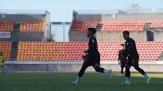 COLOR | Liga TDP Cuartos de Final Vuelta | Tigres de Álica vs Gorilas de Juanacatlán.