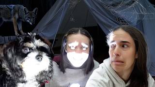 PASSAMOS A NOITE NA BARRACA!!! ★ Aventura no Acampamento com minha cachorrinha Lizzie e a Mamãe Fabi