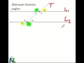 Properties of Angles with Transversals