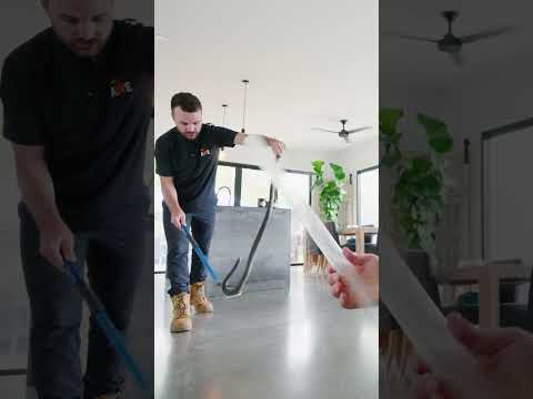 Deadly Snake Found in Bathroom! (Eastern Brown Snake)