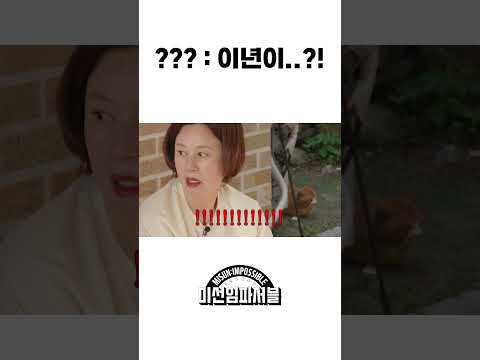 ???: 이년이..?! #미선임파서블 #파트리샤 #한국관광공사