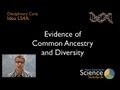 Understanding Common Ancestry and Diversity