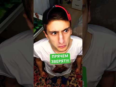 Гости #юмор #рекомендации #приколы