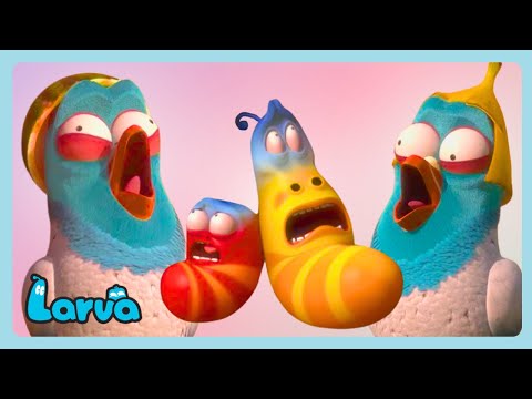 🐦 CRAZY BIRDS! 🐦 | Larva MEGA Compilation for Kids | WildBrain Bananas