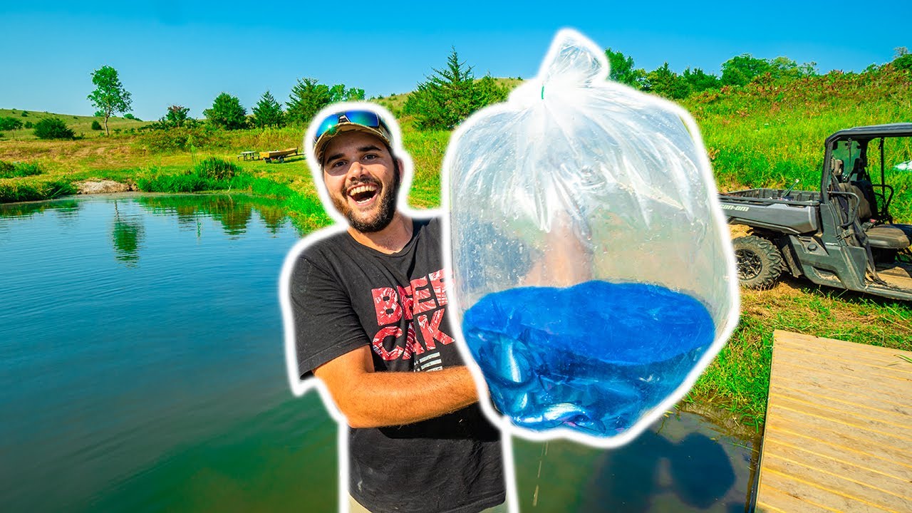 STOCKING My BACKYARD FISH HATCHERY for the FIRST TIME!