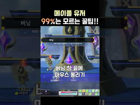 메이플 유저 99%는 모르는 꿀팁